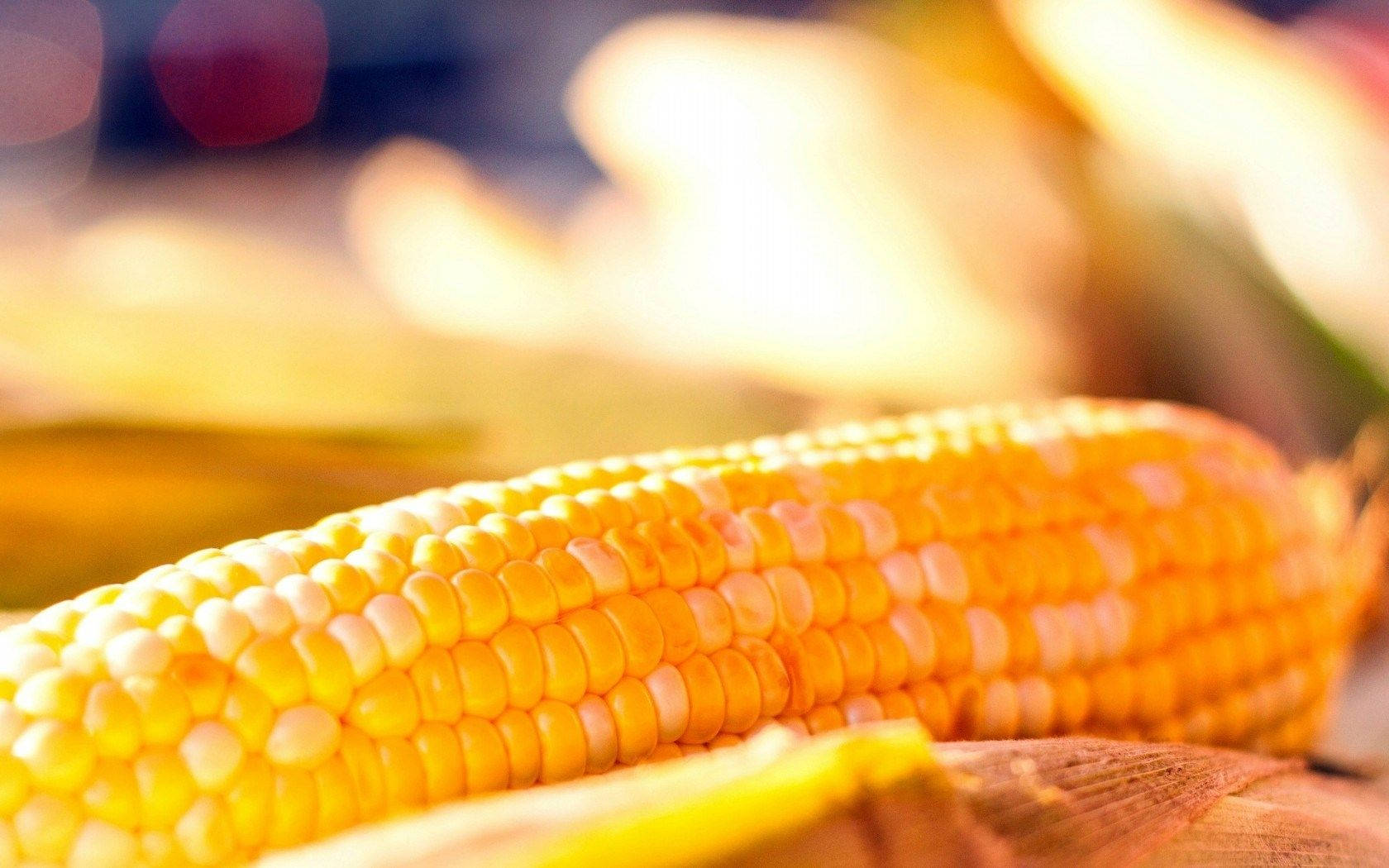 Yellow Corn With White Kernel Wallpaper