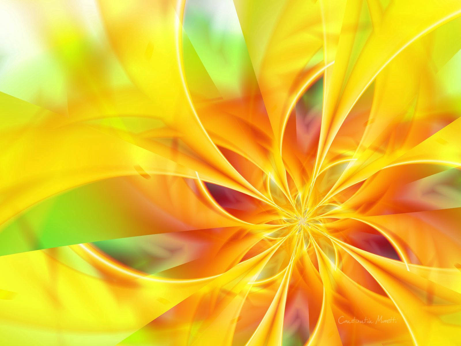 Yellow Flower Patterns Wallpaper