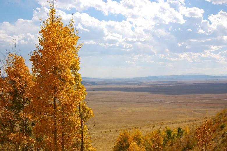 Yellow Grass Fields Beautiful Autumn Desktop Wallpaper