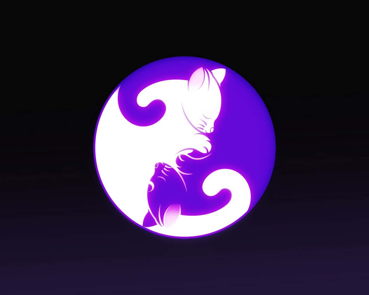 Yin Yang 4k White And Purple Cats Wallpaper