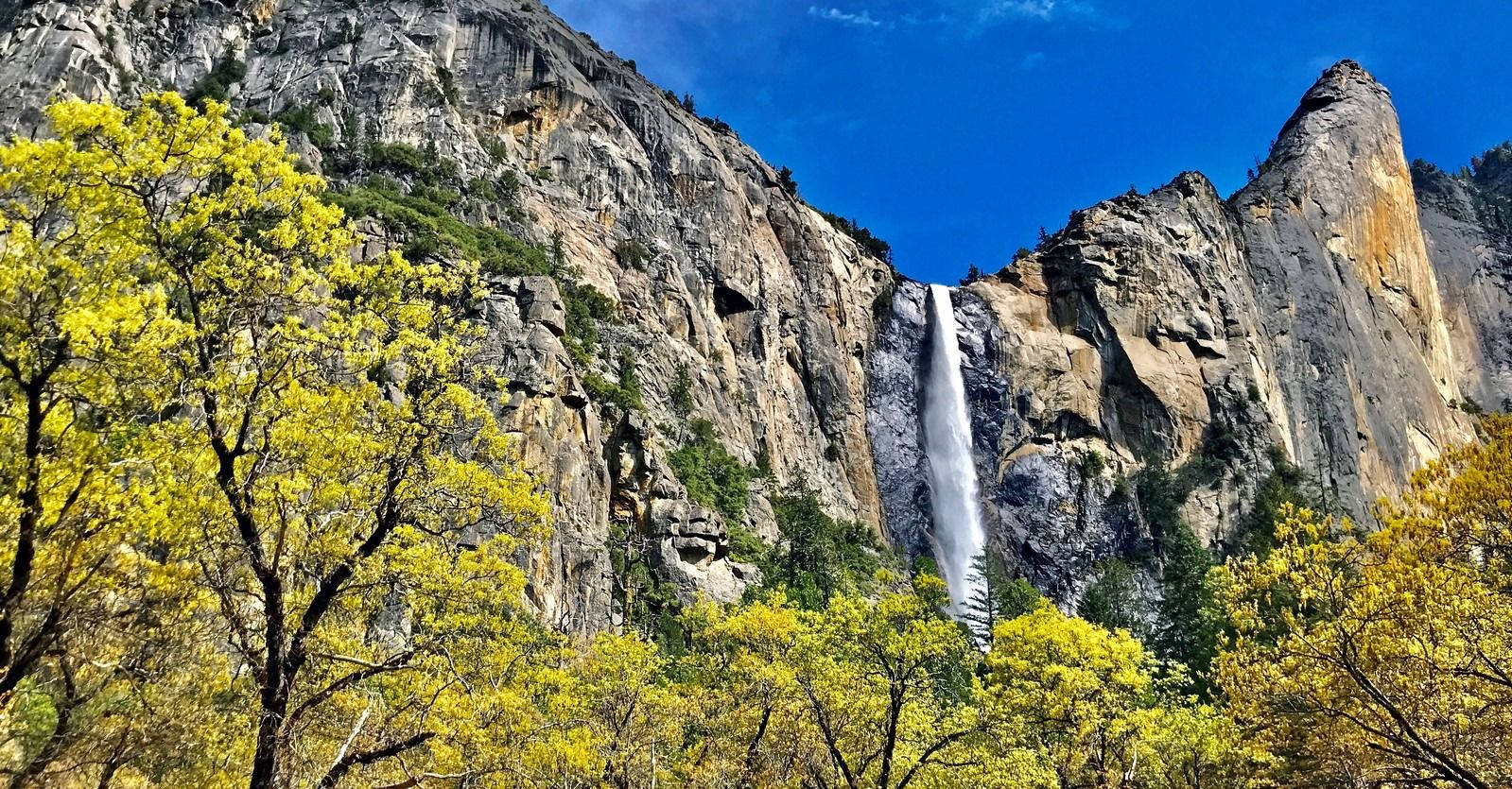 Yosemite National Park Spring Wallpaper