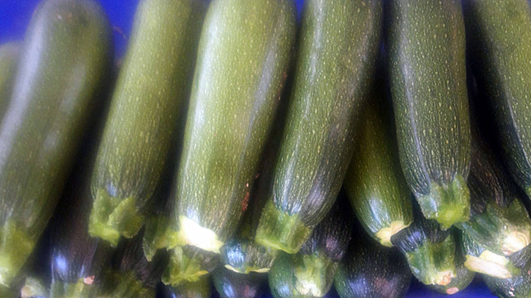 Zucchini Baby Marrow Variety Wallpaper