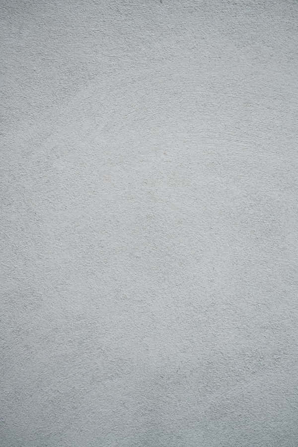 1. Cute Grey, Along For The Ride Wallpaper