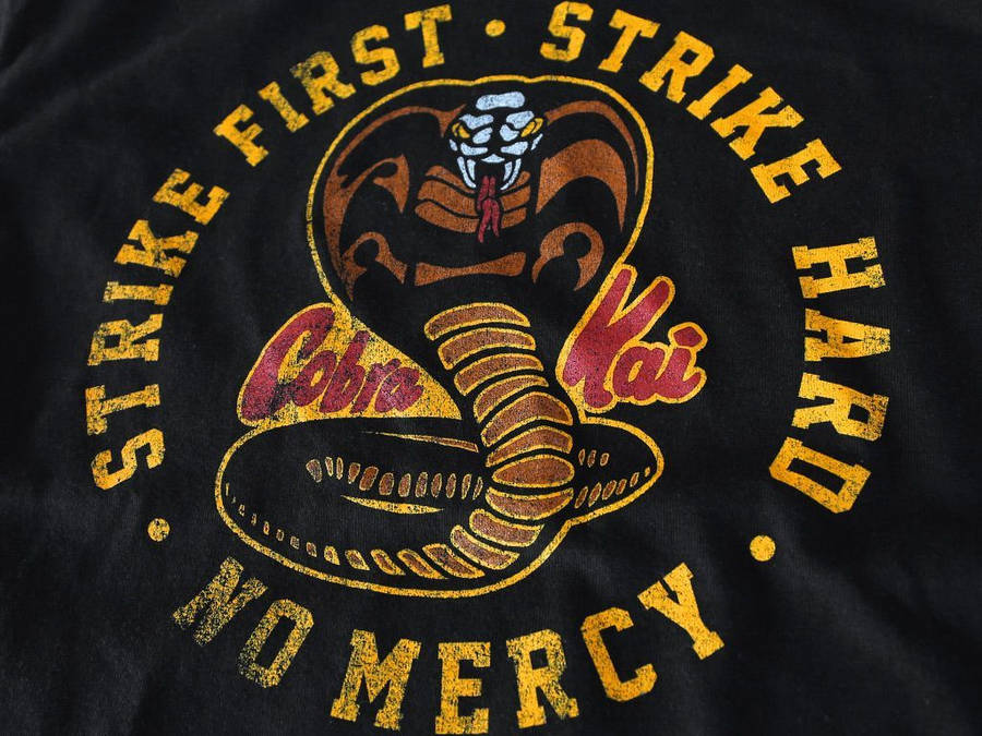 1024x768 Cobra Kai Wallpaper Wallpaper