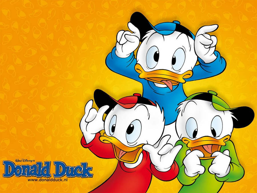 1024x768 Donald Duck Wallpaper Wallpaper