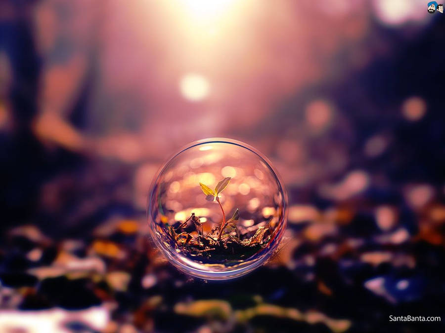 1024x768 Photography Wallpaper Wallpaper