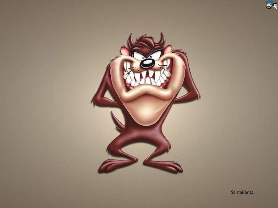 1024x768 Tasmanian Devil Wallpaper 1024x768 Wallpaper