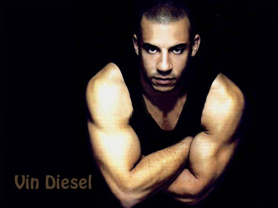 1024x768 Vin Diesel Wallpaper High Quality Wallpaper