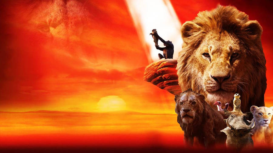 1192x670 The Lion King 2019 Wallpaper Wallpaper