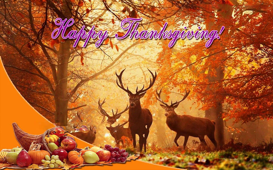 1440x900 Wallpaper – Top 94 Thanksgiving Wallpaper – Free Download Wallpaper