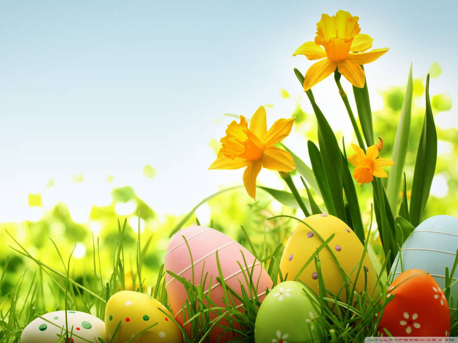 1600x1200 Happy Easter 2014 ❤ 4k Hd Desktop Wallpaper For 4k Ultra Hd Tv Wallpaper