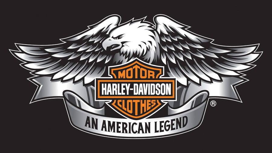 1800x1016 Hd Harley Davidson Wallpaper – Wallpaper And Picture Gallery High Wallpaper