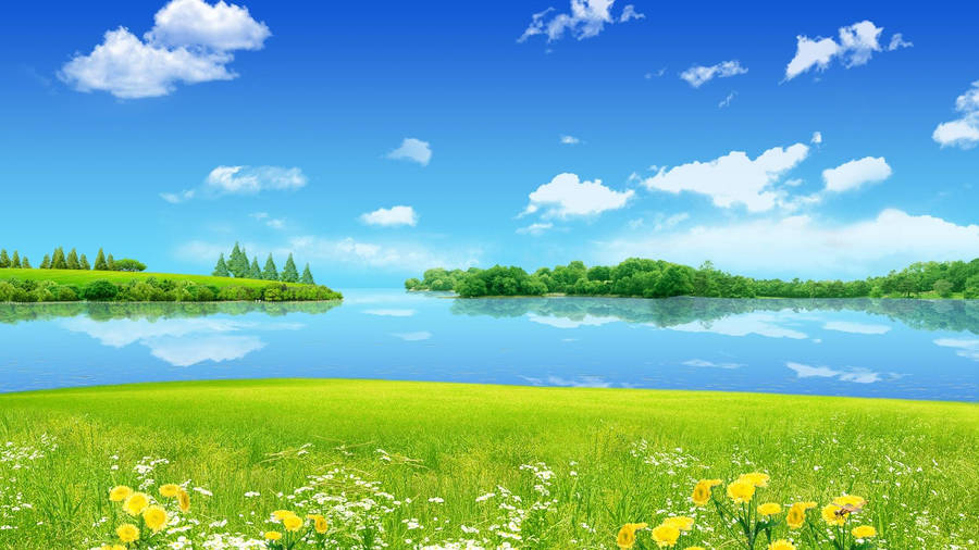 1920x1080 Cool Summer Desktop Wallpaper Hd Wallpaper
