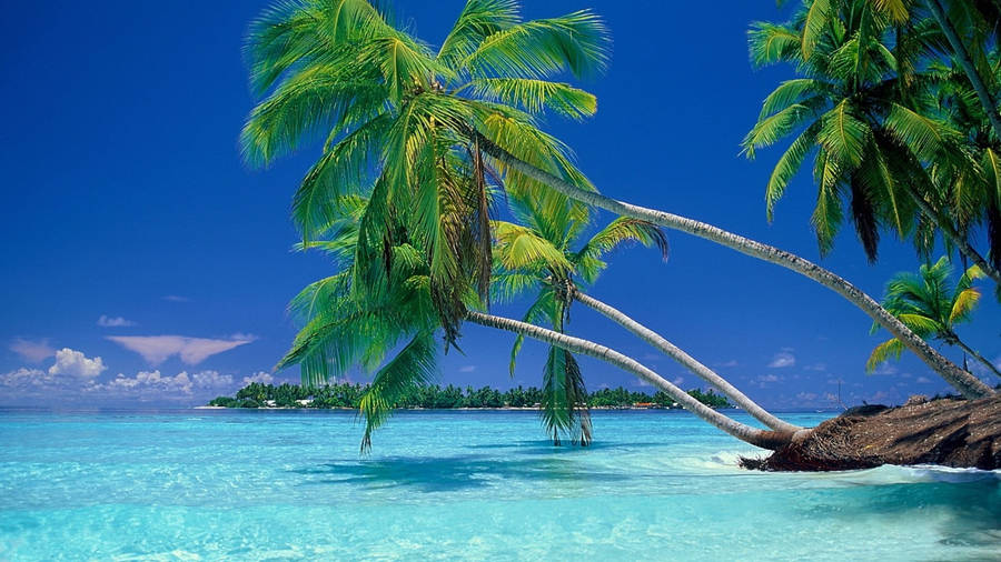 1920x1080 Hd Summer Tropical Paradise Wallpaper