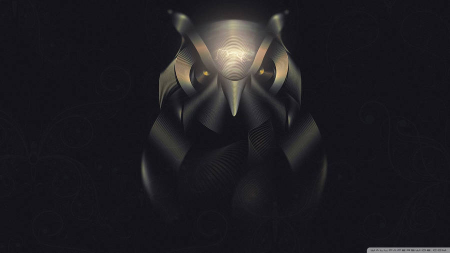 1920x1080 Owl ❤ 4k Hd Desktop Wallpaper For 4k Ultra Hd Tv • Wide & Ultra Wallpaper