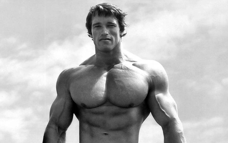 1920x1200 Arnold Bodybuilding Wallpaper Wallpaper