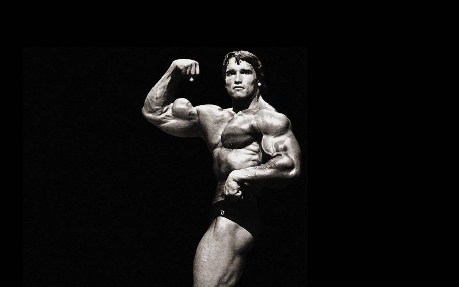 1920x1200 Arnold Wallpaper Wallpaper