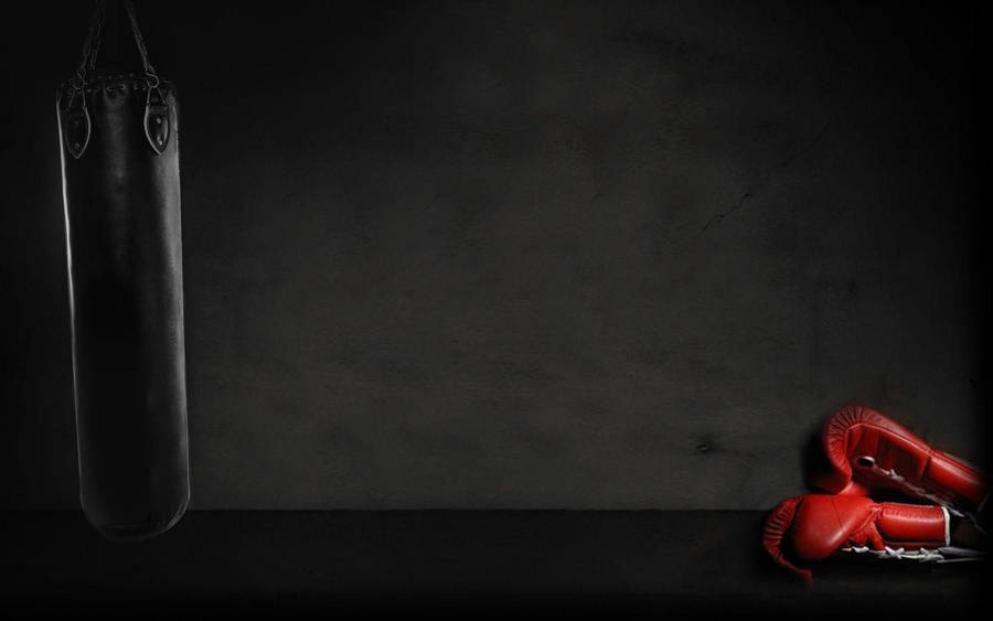 1920x1200 Boxing Gloves Wallpaper Wallpaper