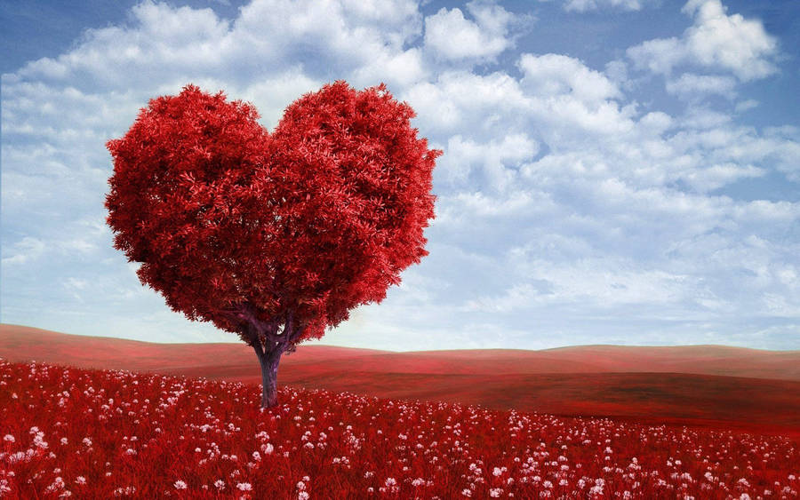 1920x1200 Love Tree Computer Desktop Wallpaper Wallpaper
