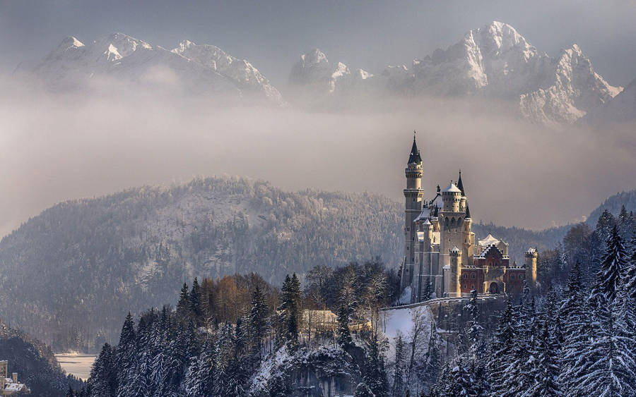 1920x1200 Neuschwanstein Castle In The Winter Hd Desktop Wallpaper Wallpaper
