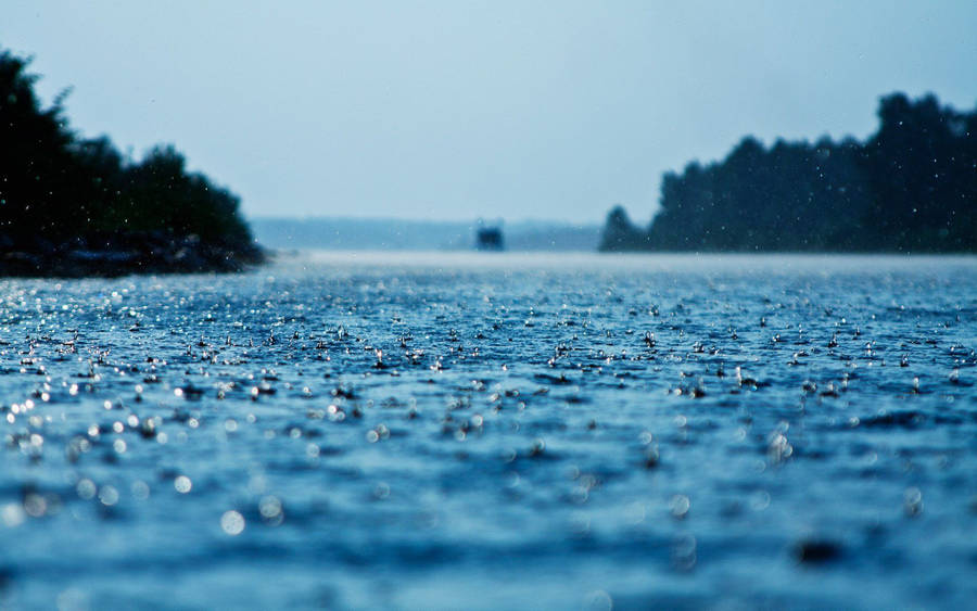 1920x1200 Rain Full Hd Wallpaper And Background Image Wallpaper