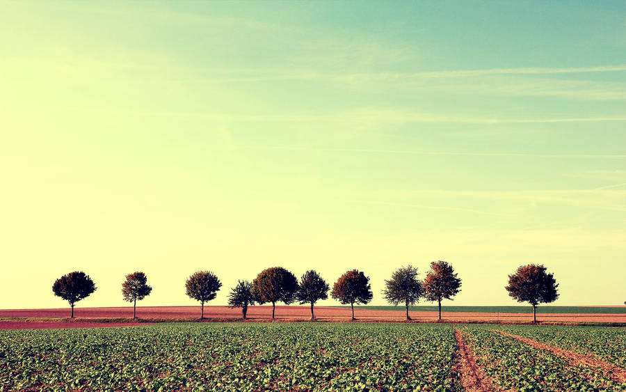 1920x1200 Serene Sky Wallpaper Wallpaper