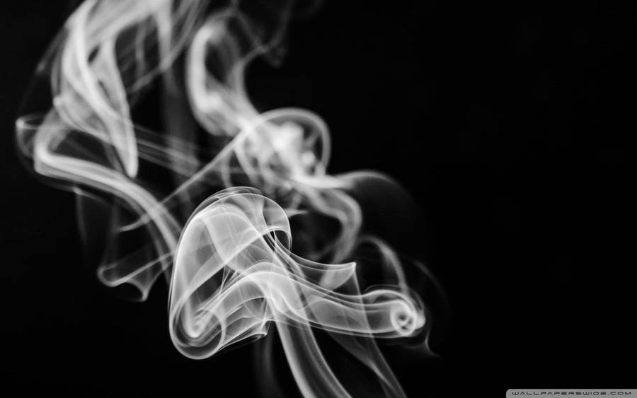 1920x1200 White Smoke ❤ 4k Hd Desktop Wallpaper For 4k Ultra Hd Tv • Wide Wallpaper