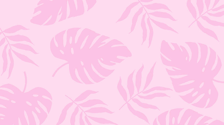 2560x1440 Summer Plants Pink Aesthetic Wallpaper