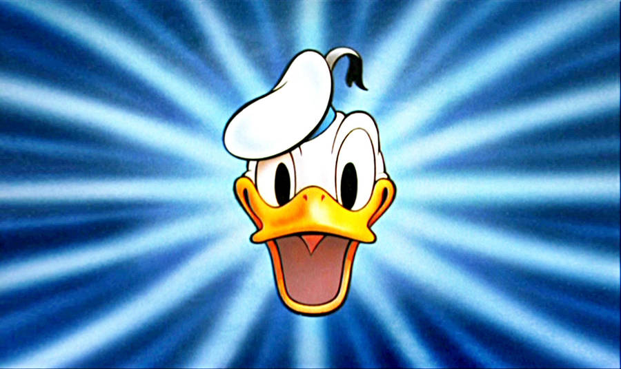 2560x1526 Donald Duck Hd Wallpaper Wallpaper