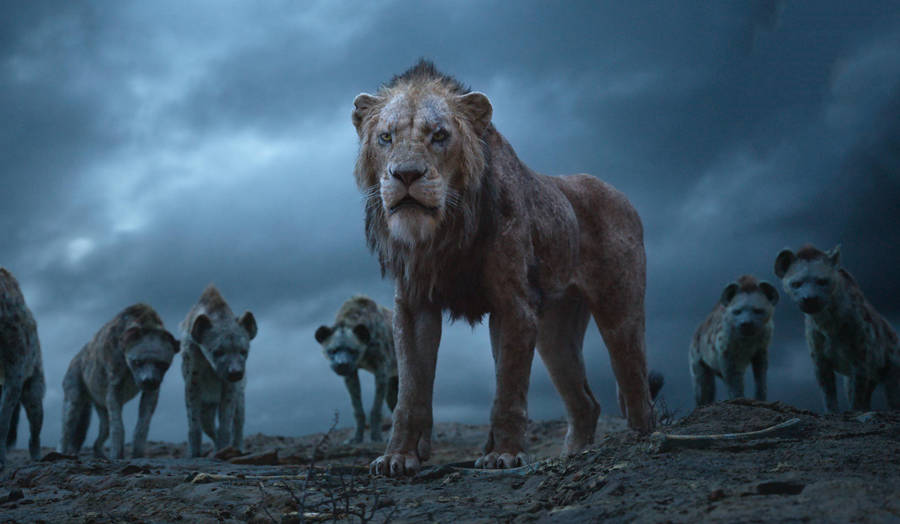 2747x1600 Scar The Lion King 2019, Hd Movies, 4k Wallpaper, Image Wallpaper