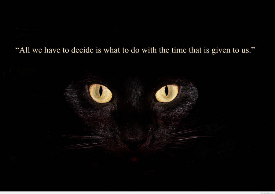 2781x1967 Strong Wise Wisdom Quotes & Image Wallpaper 2018 Hd Wallpaper