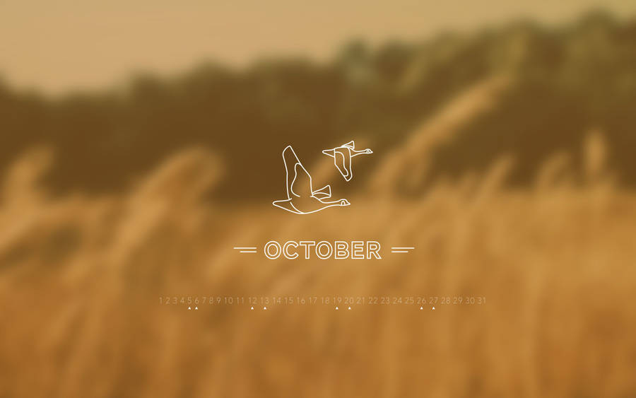 2880x1800 October 2013 Desktop Calendar Wallpaper. Paper Leaf Design Wallpaper