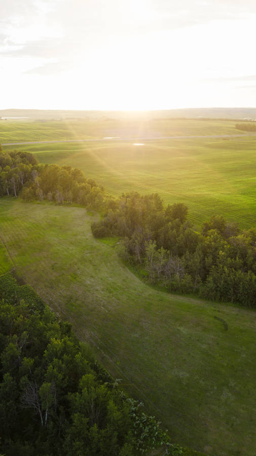 4k Golf Course Portrait Wallpaper