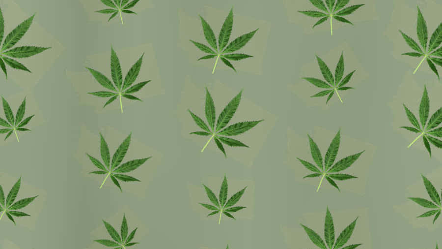 4k Green Marijuana Wallpaper