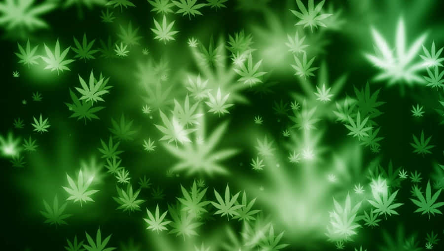 4k Marijuana Background Wallpaper