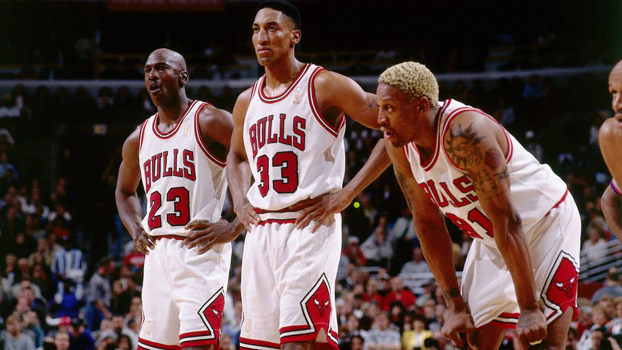 4k Nba 1996 Bulls Wallpaper