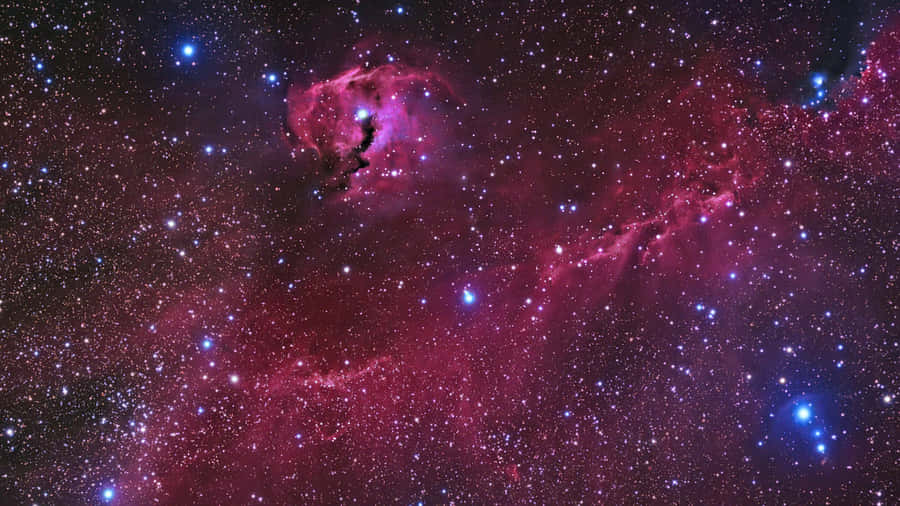 4k Star Seagull Nebula Wallpaper