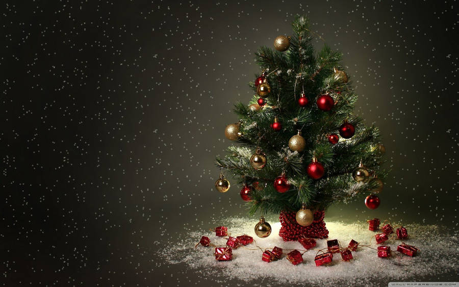 4k Ultra Hd Christmas Tiny Tree Wallpaper