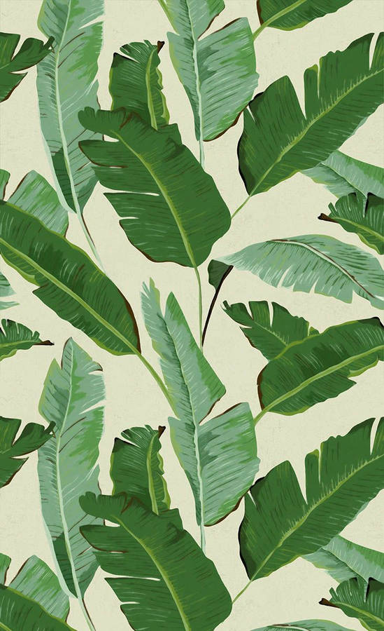 732x1200 Banana Leaves Wallpaper Wallpaper