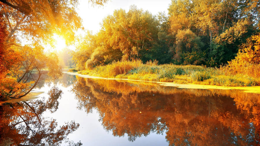 8k Ultra Hd Nature Autumn River Wallpaper