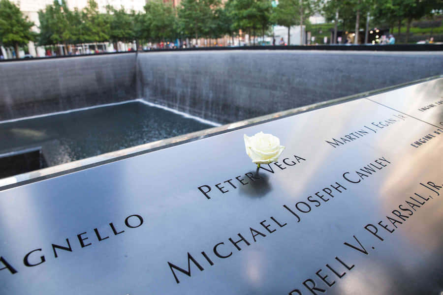 911 Memorial White Rose Wallpaper