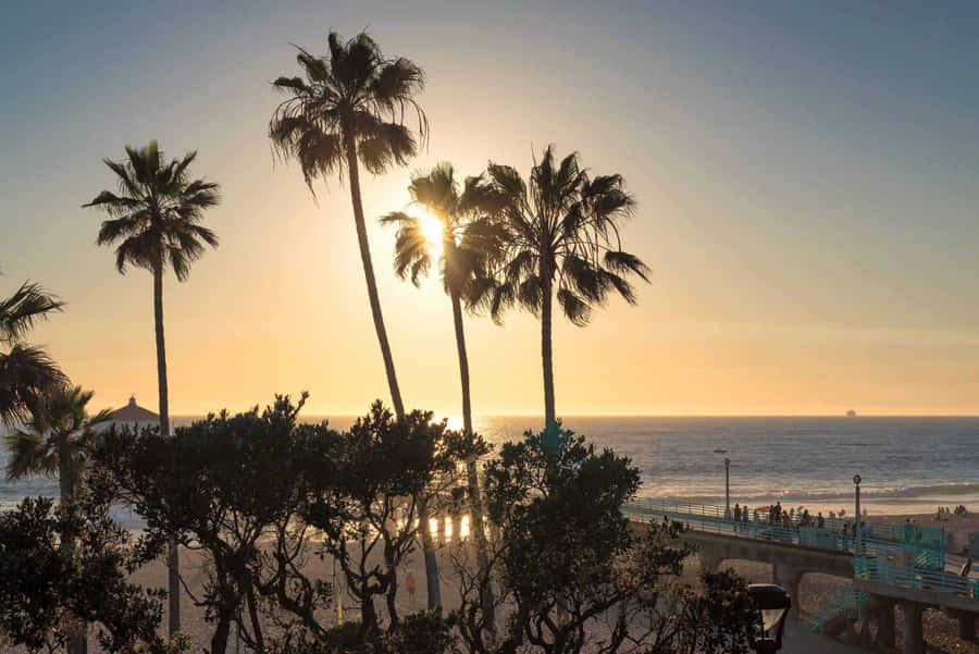 A Beach With Palm Trees And A Pier Wallpaper