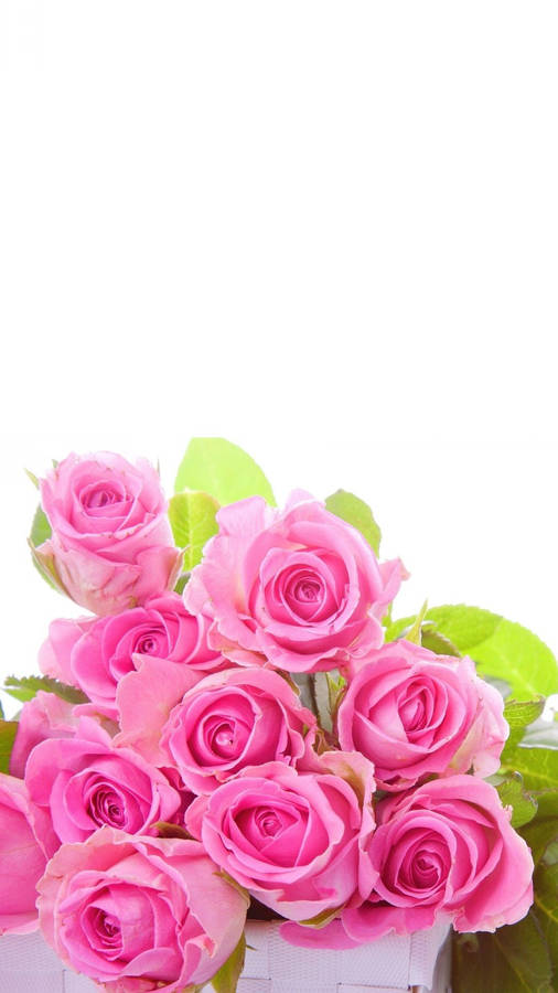 A Beautiful Bouquet Of Pink Roses Wallpaper