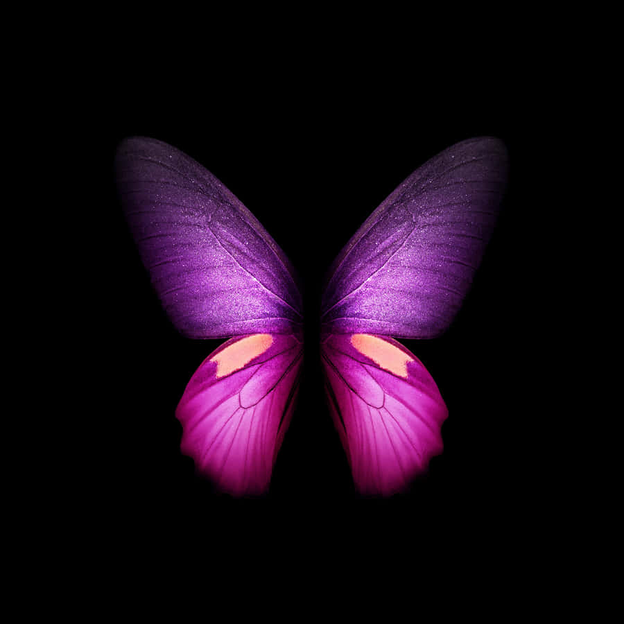 A Beautiful Purple Butterfly Adorns This Iphone Screen. Wallpaper