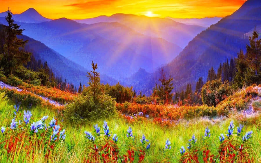 A Beautiful Sunrise Overlooking A Grassy Plain Wallpaper