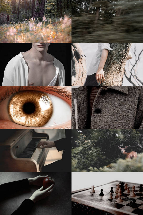 A Beautiful Sunset Reflecting In The Water Wallpaper