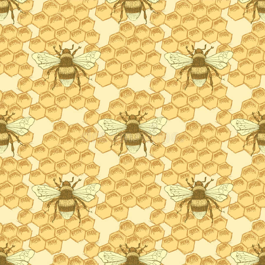 A Beautiful Vintage Bee In A Summer Meadow. Wallpaper