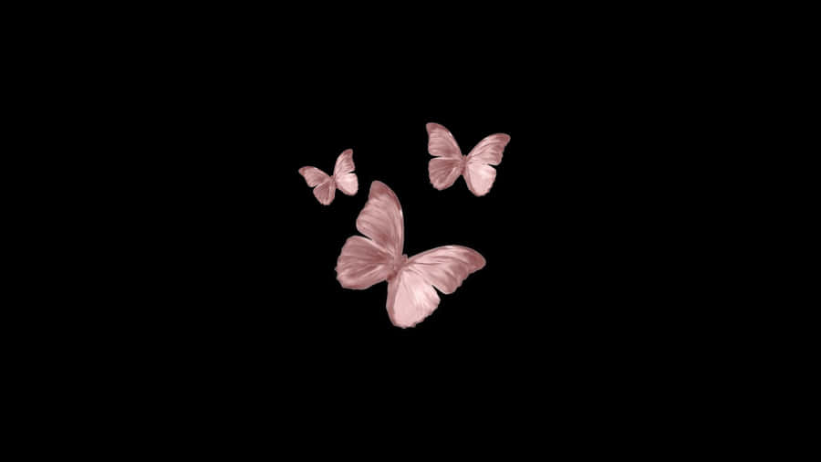 A Black Background With Pink Butterflies Flying In The Air Wallpaper