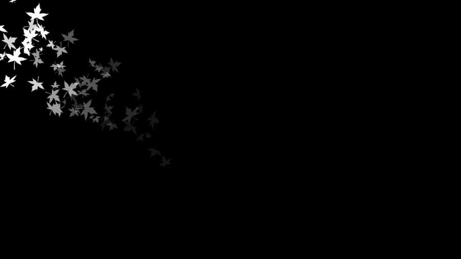 A Black Background With White Stars Flying In The Air Wallpaper