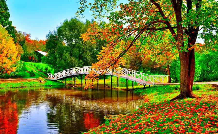 A Bridge Over A Pond With Colorful Leaves Wallpaper